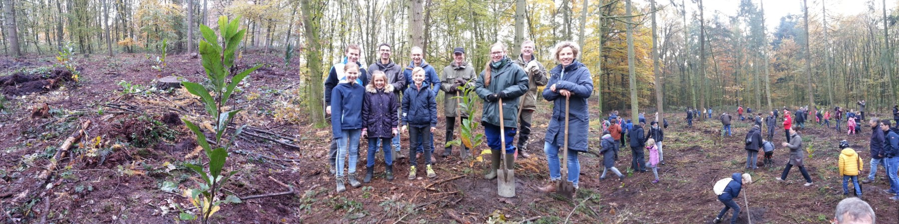 Beteiligung des TCO an der ersten Baumpflanzaktion „Bürgerwald“ der Gemeinde Ostbevern